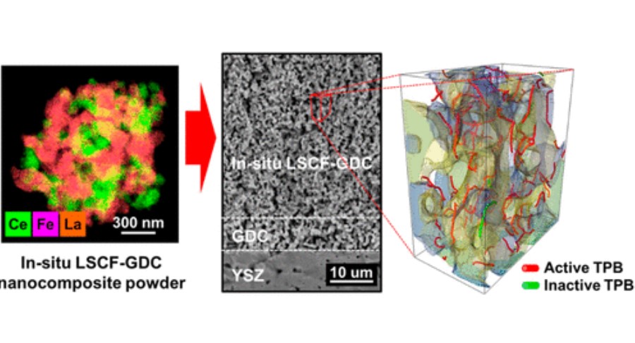 Amira Avizo Software Use Case Gallery Thermo Fisher Scientific