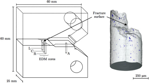 A statistical assessment of ductile damage in 304L stainless steel resolved using X-ray computed tomography