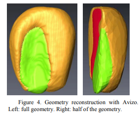 Drying of Corn Kernels: From Experimental Images to Multiscale Multiphysics Modeling