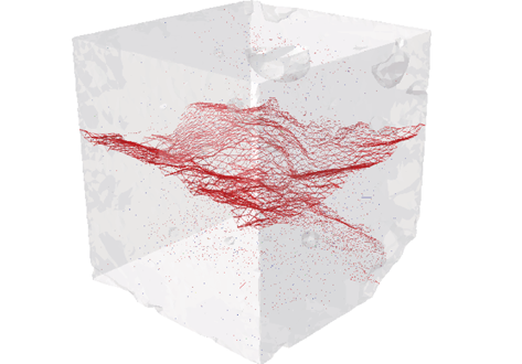 Three-Dimensional In Situ XCT Characterisation and FE Modelling of Cracking in Concrete