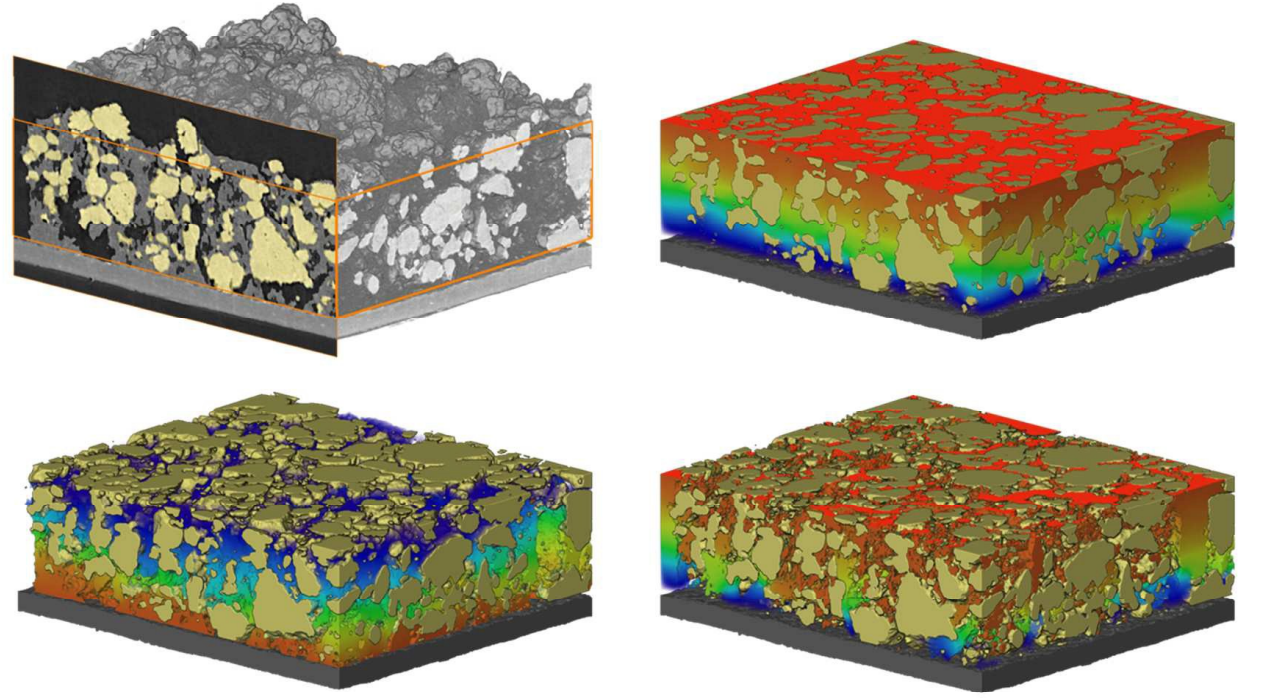 Three-dimensional Image Based Modelling of Transport Parameters in LithiumSulfur Batteries