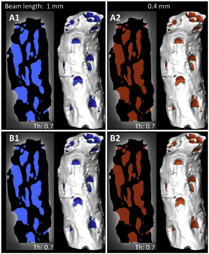 Ambient occlusion – A powerful algorithm to segment shell and skeletal intrapores in computed tomography data