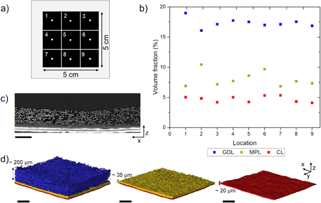X-ray Micro-Computed Tomography of Polymer Electrolyte Fuel Cells: What is the Representative Elementary Area?