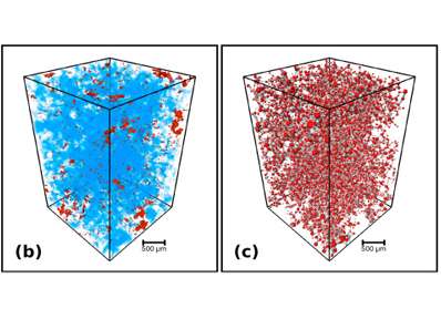 Pore network analysis of Brae Formation sandstone, North Sea