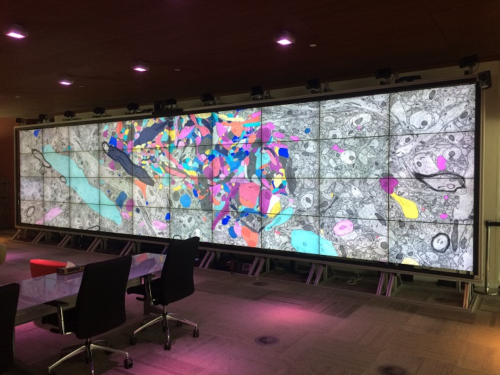 Insights into data with the KAUST Visualization Core Lab