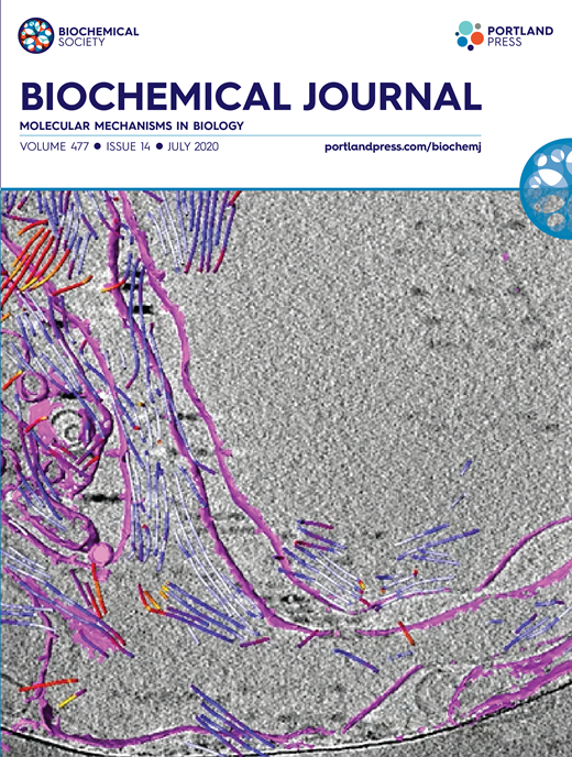 Synergistic role of nucleotides and lipids for the self-assembly of Shs1 septin oligomers